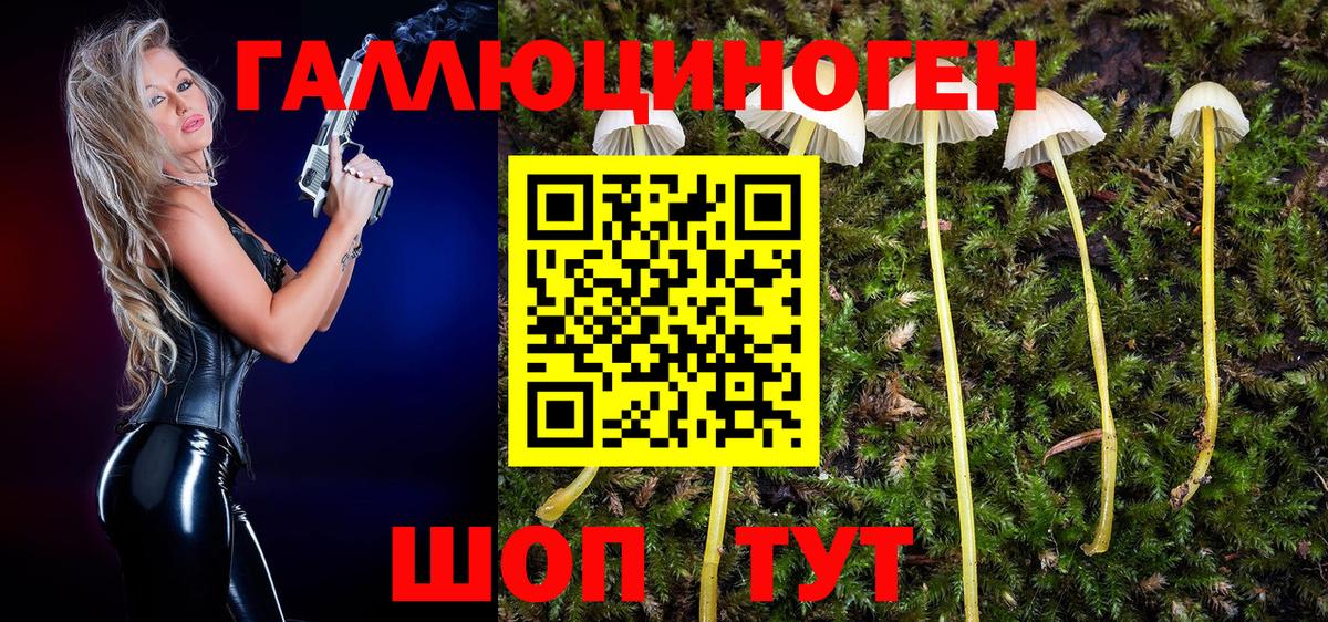 Галлюциногенные грибы Psilocybe  Псилоцибиновые грибы Cubensis  Новороссийск  Вход с VPN 
