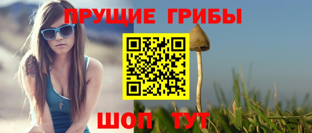 Галлюциногенные грибы мицелий Новороссийск