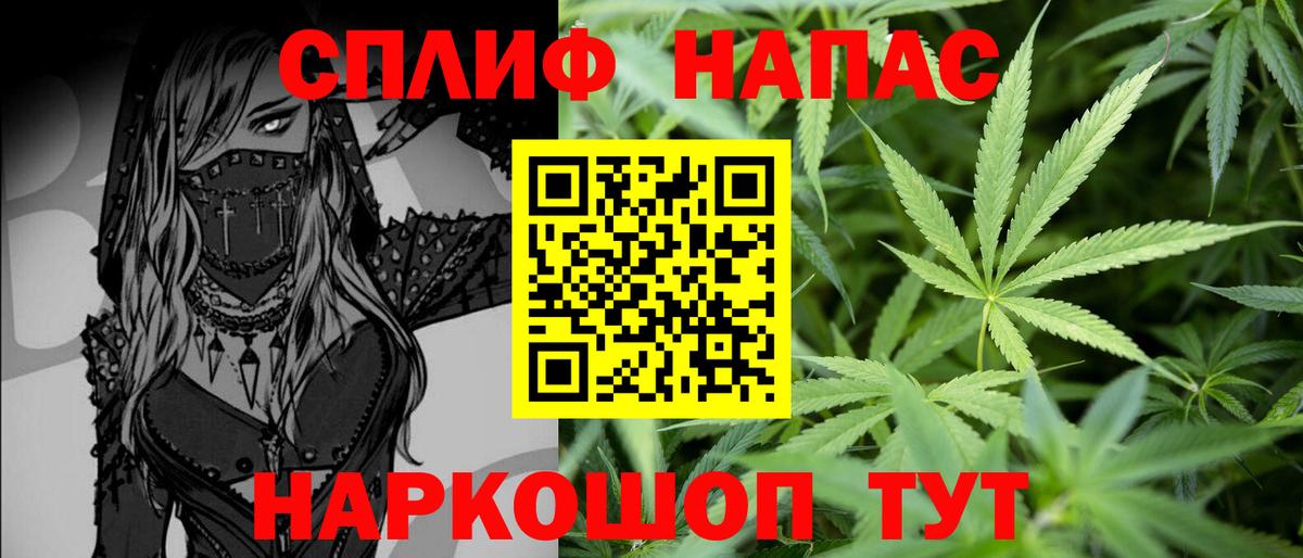 Канабис семена Новороссийск